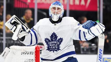 Maple Leafs Call Up New Backup Goalie for Sergei Bovrovsky