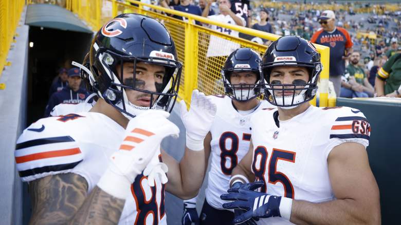 Colston Loveland, Bears