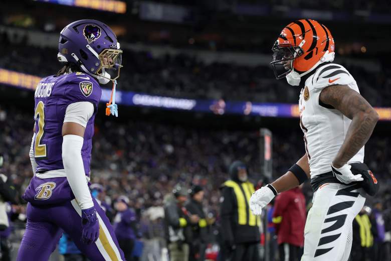 Cincinnati Bengals v Baltimore Ravens