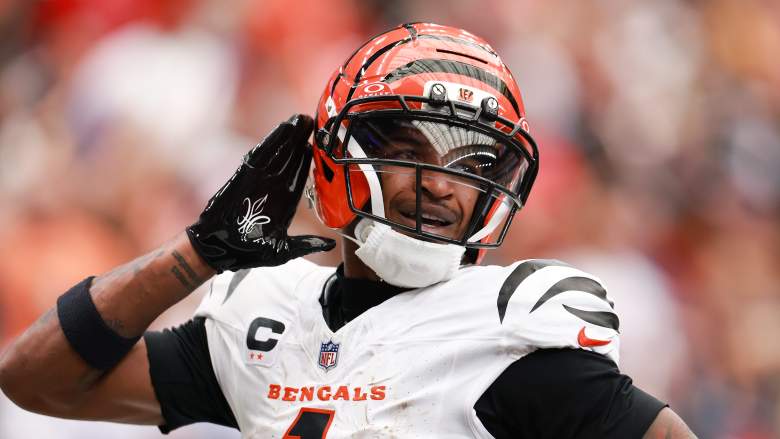 Cincinnati Bengals v Houston Texans