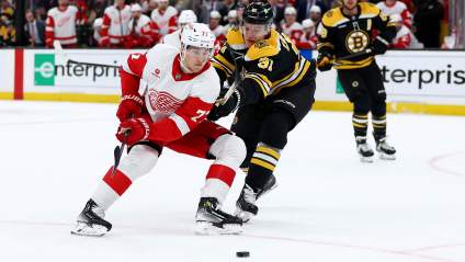Bruins Have Taken a Long Look at Red Wings Defenseman