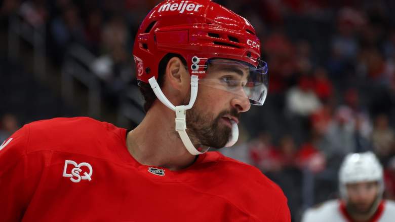 Dylan Larkin #71 of the Detroit Red Wings looks on