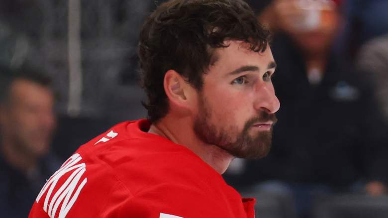 Dylan Larkin #71 of the Detroit Red Wings after a second period fight.