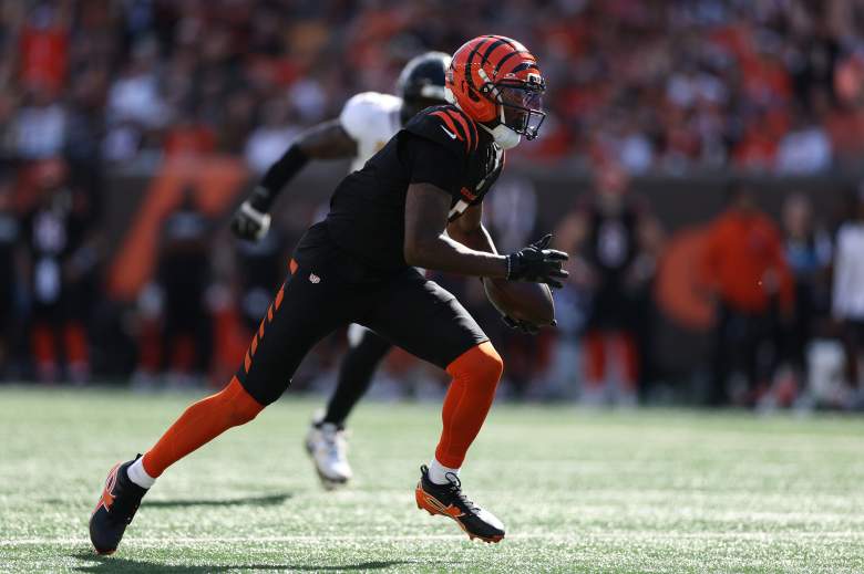 Jacksonville Jaguars v Cincinnati Bengals